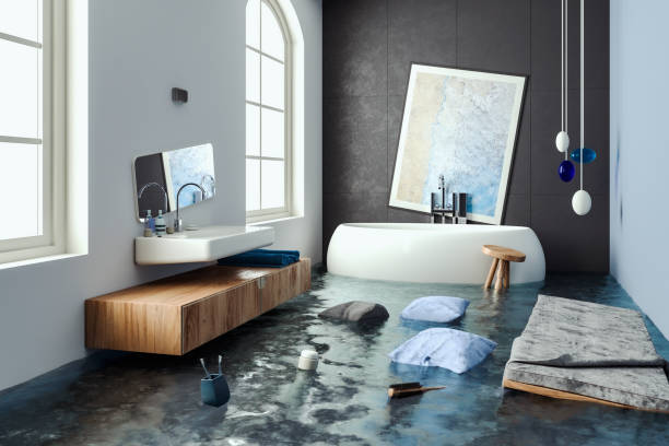 Best Professional water damage repair  in Walnut, IL