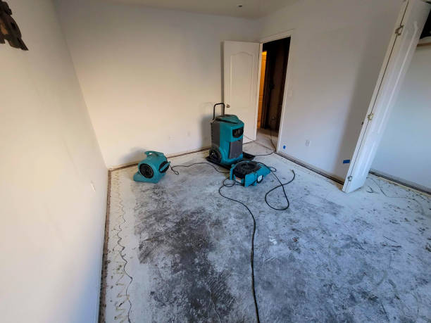 Best Fire Damage Restoration  in Walnut, IL