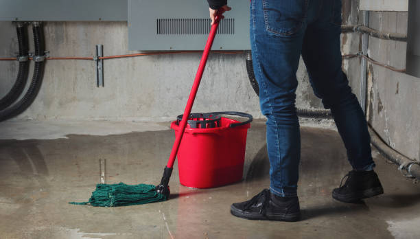 Best Water damage cleanup near me  in Walnut, IL