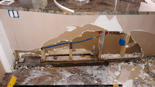 Best Fire Damage Restoration  in Walnut, IL
