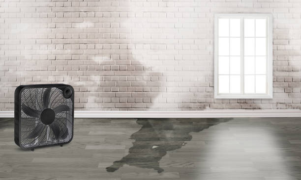 Best Sewage cleanup and water damage restoration  in Walnut, IL