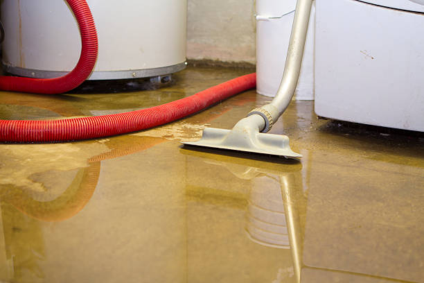 Best Carpet water damage restoration  in Walnut, IL