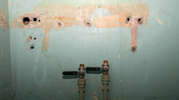 Best Water damage restoration near me  in Walnut, IL