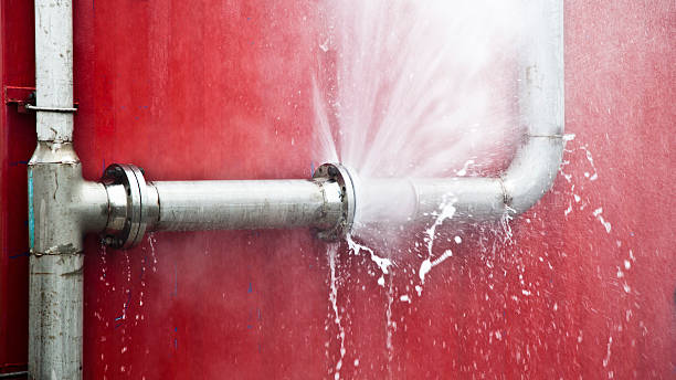 Best Water damage restoration near me  in Walnut, IL
