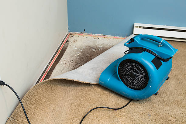 Best Flood restoration services  in Walnut, IL